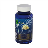 CORALNATURAL 1G 90CAP