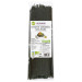 PASTA ESPAGUETI S/G GUISANTE-ALGAS BIO 250G