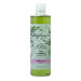 CHAMPU CABELLOS GRASOS 300ML