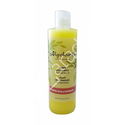CHAMPU CABELLOS CASTIGADOS 300ML