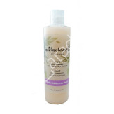 CHAMPU CABELLOS TEÑIDOS O CON MECHAS 300ML
