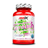 L-CARNITINA CARNILINE 90CAP - AMIX