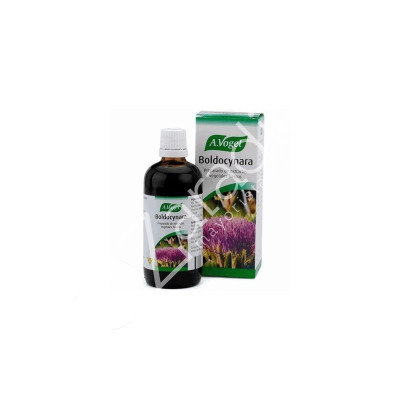 BOLDOCYNARA 100ML
