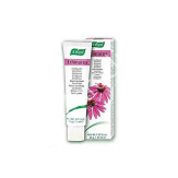 DENTAFORCE ECHINACEA PASTA 100G
