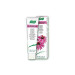 DENTAFORCE ECHINACEA PASTA 100G