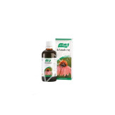 ECHINAFORCE 100ML