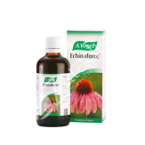ECHINAFORCE  50ML