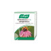 ECHINAFORCE KIDS MASTICABLE 80COMP