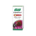 ECHINAFORCE HOT DRINK 100ML