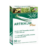 ARTRIKUM 30CAP