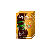LIPOBLOQUEANTE 36TAB