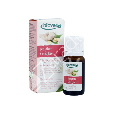 AE ZINGIBER OFFICINALIS JENGIBRE BIO 10ML