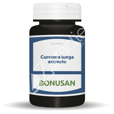 CURCUMA LONGA EXTRACTO 60 TAB