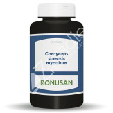 CORDYCEPS SINENSIS MYCELIUM