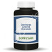 CORDYCEPS SINENSIS MYCELIUM
