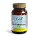 ALKI ESCUALEN 90CAP