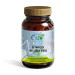 GINKGO BILOBA ST 60CAP