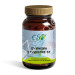 GYMNEMA SILVESTRE ST 60CAP