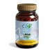 LISINA 500 MG 60CAP