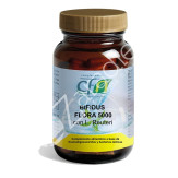 PROBIOTIC 5000 60CAP