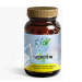 QUERCITIN 480MG 60CAP