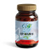 REIMAISHI 60CAP