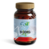 LIQSODIG 60CAP