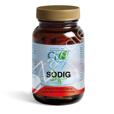 LIQSODIG 60CAP