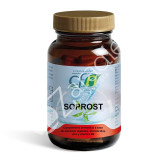SOPROST 60CAP