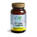 FACTORES TRANSFERENCIA 90CAP