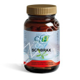 SOFRIBRAX 60CAP