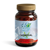 MAGNOCAL 60CAP