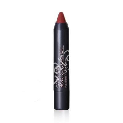 LABIAL BASIC COLOURSTICK Nº7 TIERRA - CAMALEÓN