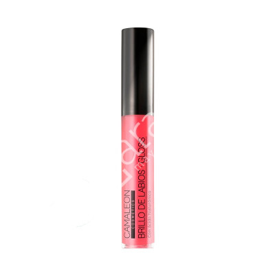 GLOSS ROSA MAGIC - CAMALEÓN