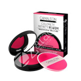 INFINITY BLUSH FRAMBUESA COLORETE - CAMALEÓN