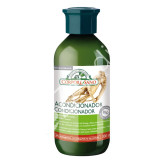 ACONDICIONADOR GINSENG 300ML