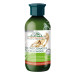 ACONDICIONADOR GINSENG 300ML