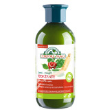 CHAMPU GINSENG GINKGO REFORZANTE 300ML