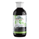 CHAMPU HENNA PALO CAMPECHE NEGRO 300ML