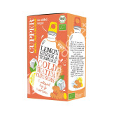 INFUSIÓN FRIA LIMON, JENGIBRE, CÚRCUMA BIO 10 BOLSAS - CUPPER