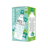 INFUSIÓN FRIA MENTA Y CÍTRICOS BIO 10 BOLSAS - CUPPER