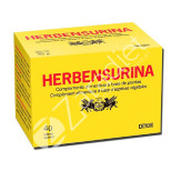 HERBENSURINA HERBURIN 40 SOBRES
