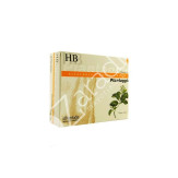 PLANTAGGIO HB 20 VIALES