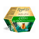 JALEA REAL ROYAL VIT STUDIO 20AMP