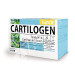 CARTILOGEN ELASTIC 20 AMP