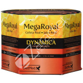 PACK MEGA ROYAL DYNAMICA 20 X 10ML AMP