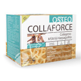 COLLAFORCE OSTEO 20 SOBRES