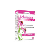 ECHINACEA 45CAP