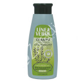 CHAMPU ANTIGRASA LINEA VERDE 400ML