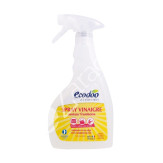 Vinagre Frambuesa Spray 750ml - Ecodoo